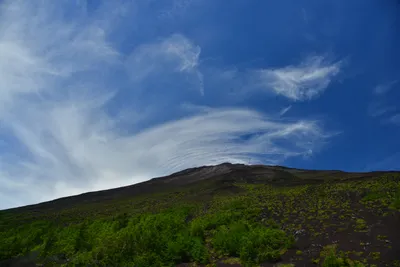 DSC_3631 (Large).JPG